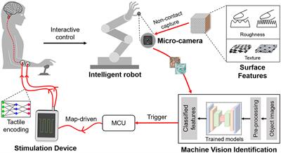 Object surface roughness/texture recognition using machine vision enables for human-machine haptic interaction